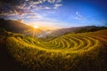 Rice fields on terraced with wooden pavilion at sunset in Mu Can Royalty Free Stock Photo