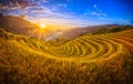 Rice fields on terraced with wooden pavilion at sunset in Mu Can Royalty Free Stock Photo