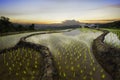 Rice fields and terraces at blue sky cloud cloudy landscape