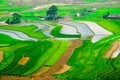 Rice fields on terraces in Vietnam.