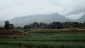 Rice Fields Under Mount Puntang, Indonesia Royalty Free Stock Photo