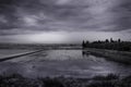 Rice fields in Valencia B/N Royalty Free Stock Photo