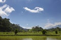 Rice fields in a valley at morning light. Bali island Royalty Free Stock Photo
