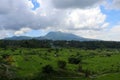 Rice fields in a valley at morning light. Bali island Royalty Free Stock Photo