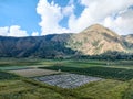 rice fields with a variety of plants that live around the slopes of Mount Rinjani, Lombok, Indonesia