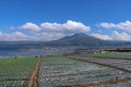 Rice fields with young rice seedlings in a water-drenched field on the shore of Lake Batur on the island of Bali.