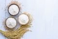 Rice flour in wooden bowl with white rice, Thai Native rice, rice ears, and paddy ear rice isolated on white wooden background Royalty Free Stock Photo