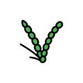 Rice flower leaf icon. Simple color with outline vector elements of healing plant icons for ui and ux, website or mobile