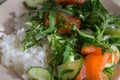 Rice with fresh salade and raw salmon close up. Rucola with cucamber and fish with rice. Healthy tasty food. Rice with vegetables.