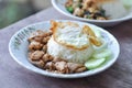 Rice with fried pork with garlic Royalty Free Stock Photo