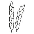 Rice grain ear, line art icon. Linear sketch, outline spica plant for agriculture, cereal products, bakery. Vector sign