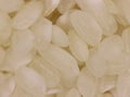 rice grain food white seed nutrient natural Royalty Free Stock Photo