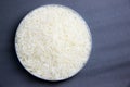 Rice grain in petrie experimental. Royalty Free Stock Photo