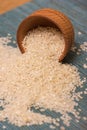 Rice Grain