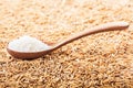 rice grain in a wooden spoon and forming a background Royalty Free Stock Photo