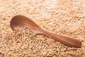 Rice grain in a wooden spoon and forming a background Royalty Free Stock Photo