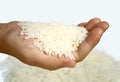 Rice grains Royalty Free Stock Photo