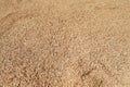 Rice grains being dried texture background