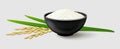 White long grain rice in a black bowl, ripe paddy ear with green leaves. Side view Royalty Free Stock Photo