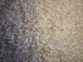 Rice grains, close-up shot. A scattering of rice as a background