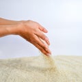 Rice Grains Fall Royalty Free Stock Photo