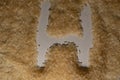 Rice grains are scattered in an even layer, on the surface, in the form of a hollow letter H.