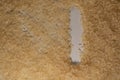 Rice grains are scattered in an even layer, on the surface, in the form of a hollow letter I.