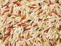 rice grains on the white background