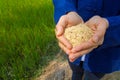 Rice on hand, brown rice