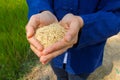 Rice on hand, brown rice