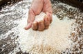 Rice in the hands of farmers