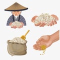 Rice harvest vector Royalty Free Stock Photo