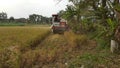 Rice harvesting machines on agricultural land Royalty Free Stock Photo