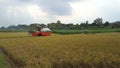 Rice harvesting machines on agricultural land