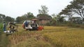 Rice harvesting machines on agricultural land