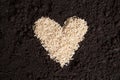 Rice Heart on Dirt