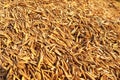 Rice hulls Royalty Free Stock Photo