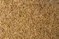 Rice hulls Royalty Free Stock Photo