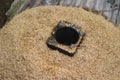 Rice husk ash (RHA) is generated by the burning of rice husk for planting media. Royalty Free Stock Photo