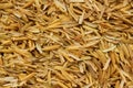 Rice husk,cultivating materials