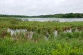 Rice Lake Marshes and Woods at Breezy Point