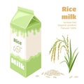 Rice milk in carton box isolated on white background. Vector illustration of plant-based drink, rice spike and grains