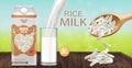 Rice milk mock up Vector realistic. Product placement advertise. Detailed grains. Label template design. Natural healthy