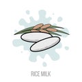 Rice milk. Vector flat illustration. Natural healthy vegan milk. Healthy alternative to dairy