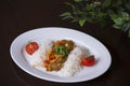 Rice with minced meat and tomato sauce. Chicken curry with rice and cilantro on white plate close up horizontal. Royalty Free Stock Photo