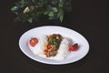 Rice with minced meat and tomato sauce. Chicken curry with rice and cilantro on white plate close up horizontal. Royalty Free Stock Photo