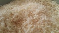 Rice is the most consumed food ingredient in the world Royalty Free Stock Photo