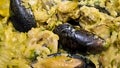 Rice with mussels close up detail Royalty Free Stock Photo