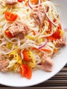 Rice noodle salad with tuna fish Royalty Free Stock Photo