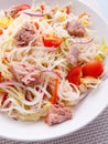 Rice noodle salad with tuna fish Royalty Free Stock Photo